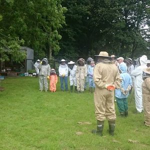 South of scotland beekeepers - beekeeping group events