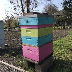 South of scotland beekeepers - brightly coloured beehive